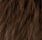 Brun moyen